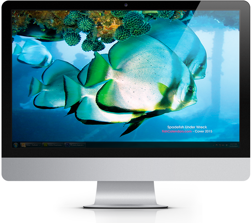 2015 Tropical Fish Calendar Windows Theme